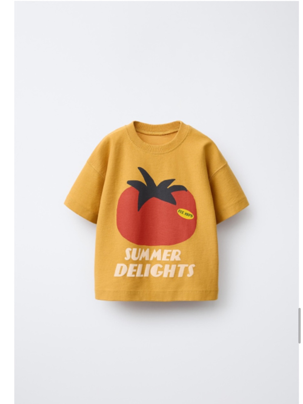ISO !! Zara Kids' 'Summer Delights' Tee in Size 4T 5T 6T